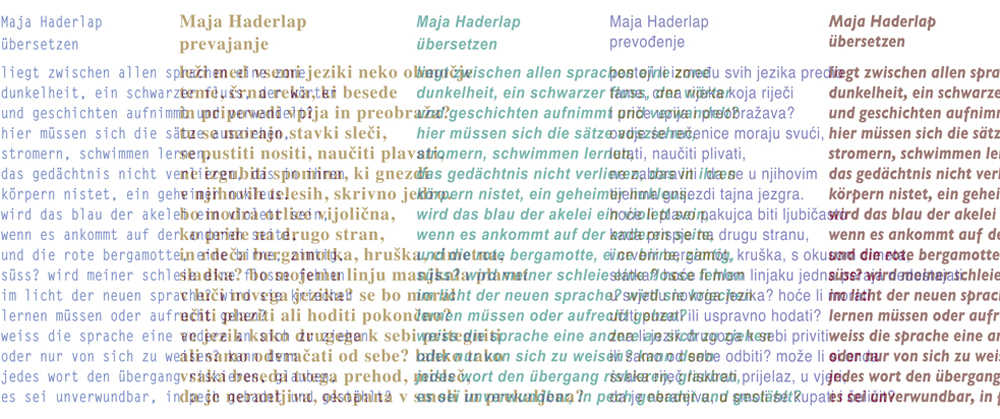 Maja_Haderlap_poem_uebersetzrn